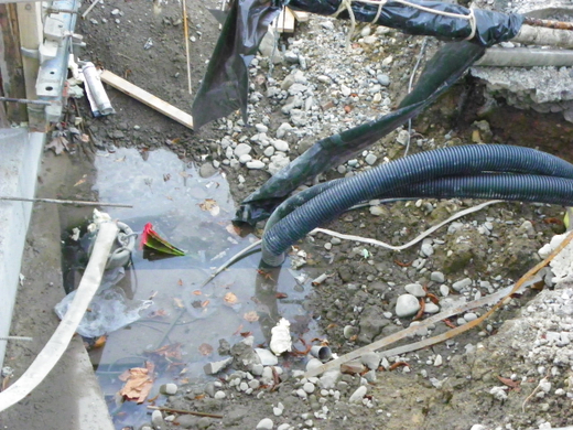 100_5629.jpg