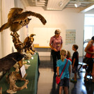 KOE_Reieseziel Museumswelt 4_jpg-1373207552