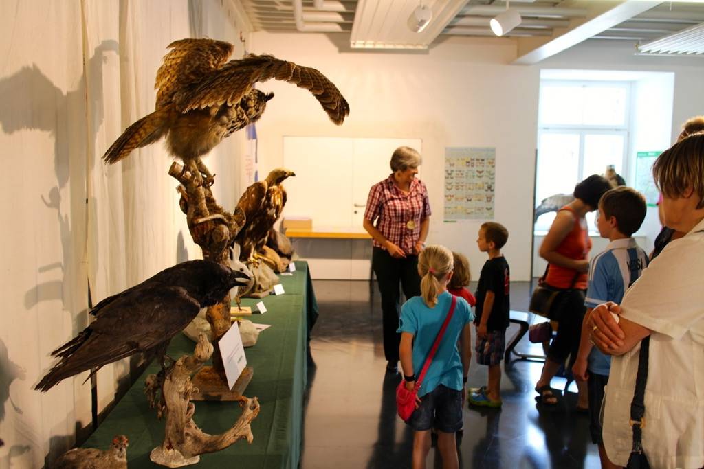 KOE_Reieseziel Museumswelt 4_jpg-1373207552