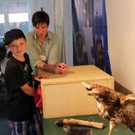 KOE_Reieseziel Museumswelt 5_jpg-1373207556