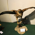 KOE_Reieseziel Museumswelt 6_jpg-1373207560