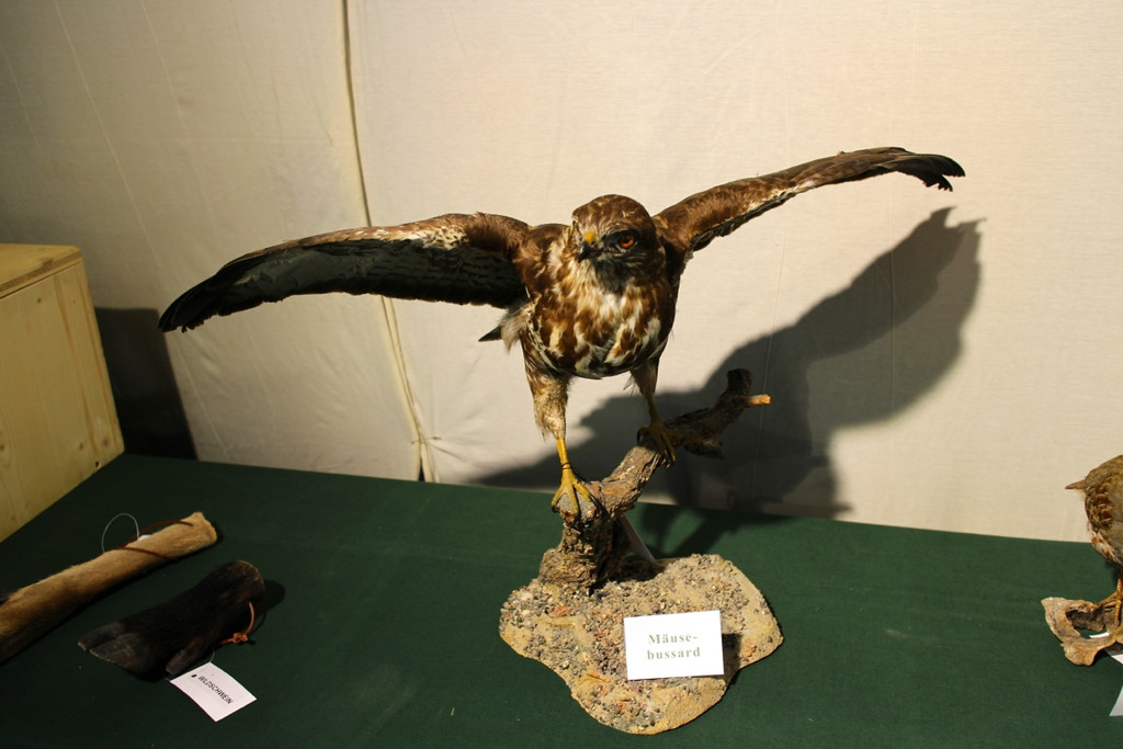 KOE_Reieseziel Museumswelt 6_jpg-1373207560