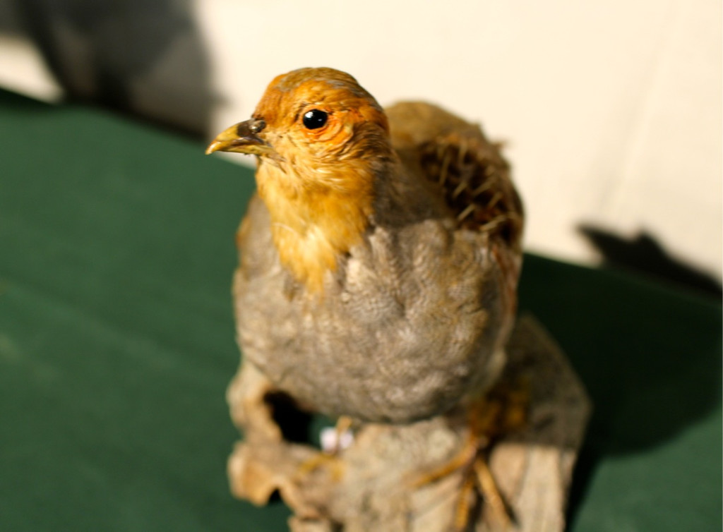 KOE_Reieseziel Museumswelt 7_jpg-1373207563