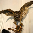 KOE_Reieseziel Museumswelt 10_jpg-1373207576