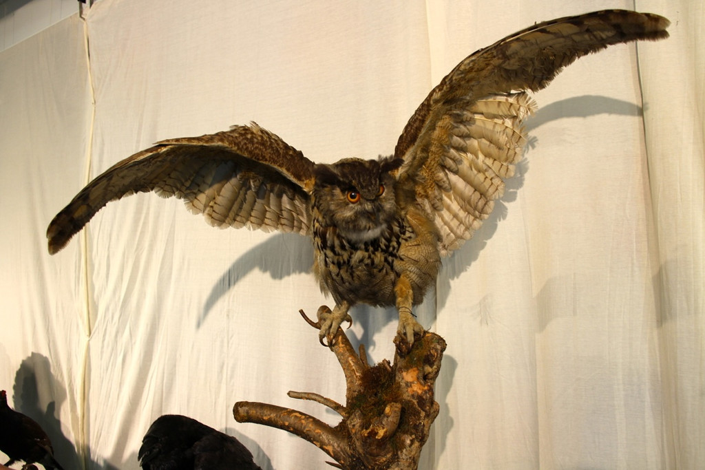 KOE_Reieseziel Museumswelt 10_jpg-1373207576