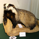 KOE_Reieseziel Museumswelt 13_jpg-1373207588