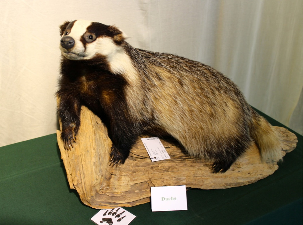 KOE_Reieseziel Museumswelt 13_jpg-1373207588