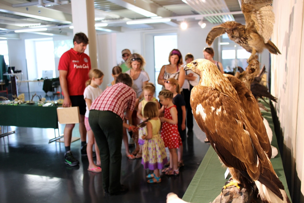 KOE_Reieseziel Museumswelt 35_jpg-1373207683