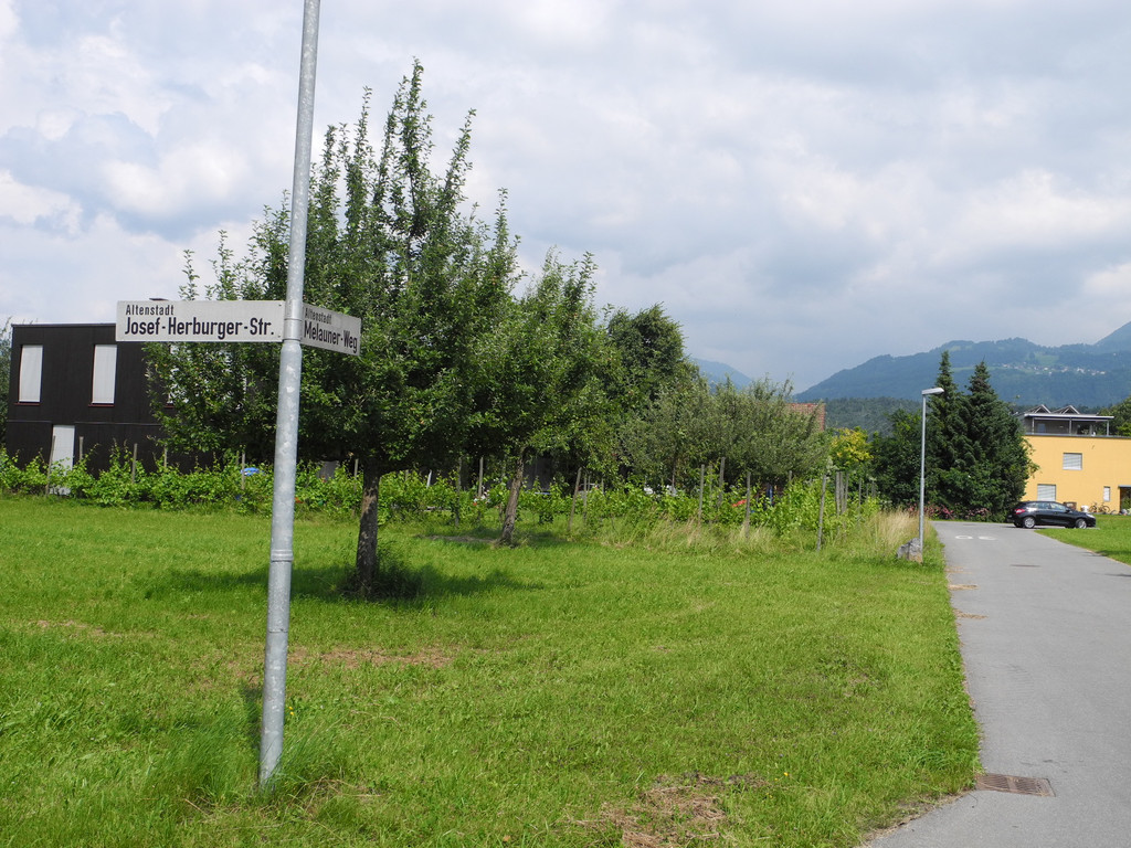 DSCN0253_JPG-1373210246