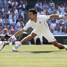 Wimbledon-Finale 2013