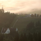 DSC02870 _Large_.JPG