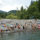 DSC03103 _Large_.JPG