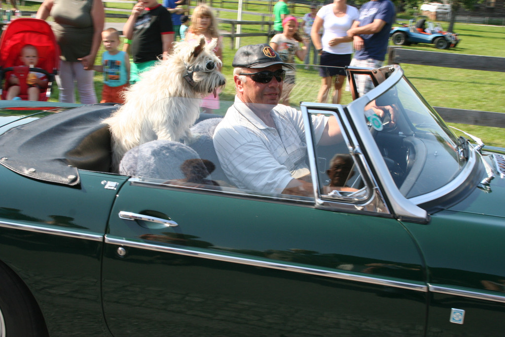 grilla_jpg 347_jpg-1373225693