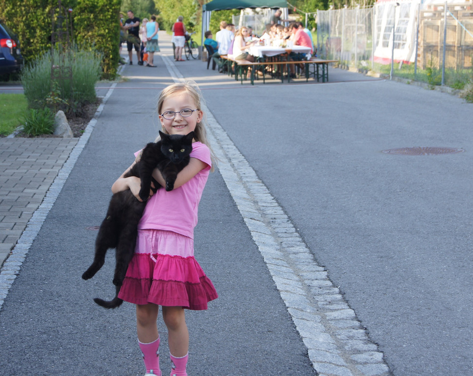 DSC08870_JPG-1373273105