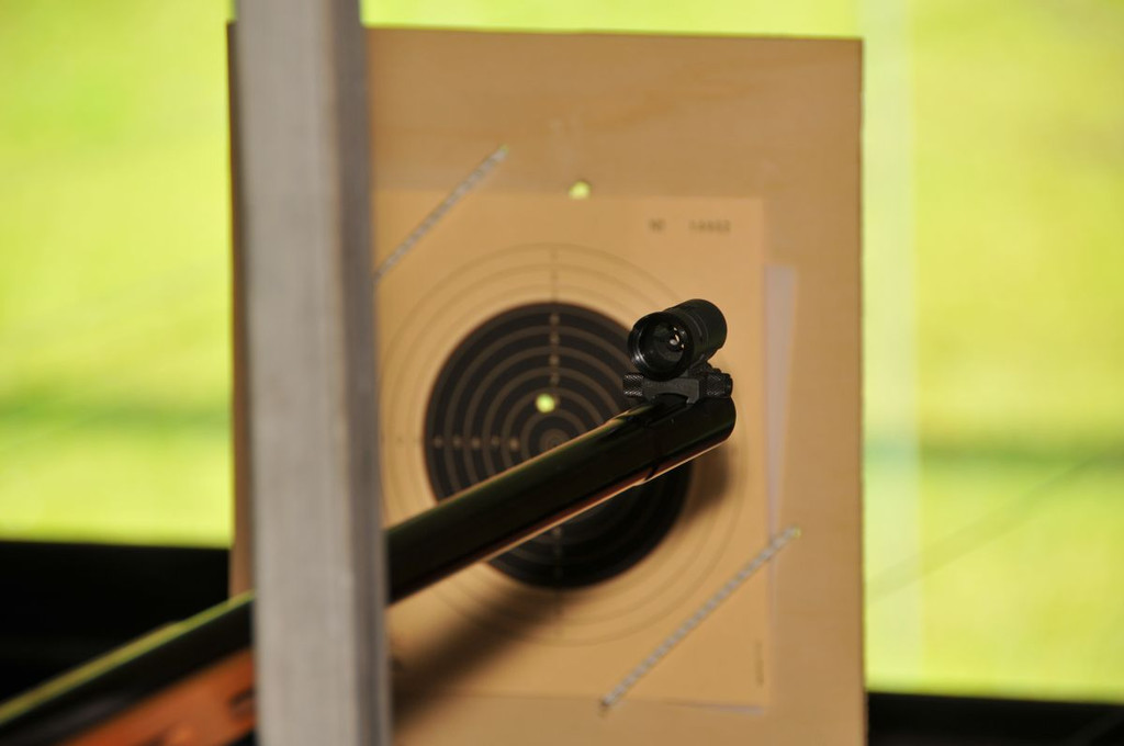 IPA Grillfest in Hard 2013 _20_.JPG