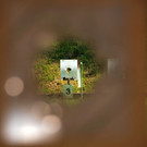 IPA Grillfest in Hard 2013 _21_.JPG