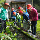 P1060095 kl_jpg-1373284274