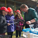 P1060097 kl_jpg-1373284276