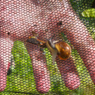 P1060100 kl_jpg-1373284280