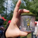 P1060110 kl_jpg-1373284284