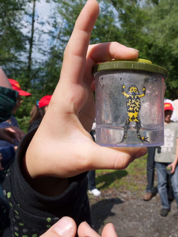 P1060110 kl_jpg-1373284284