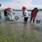 P1060150 kl_jpg-1373284286