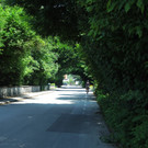 Juli 9 019.JPG