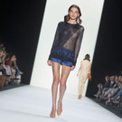 IBD0769-20130702.jpg