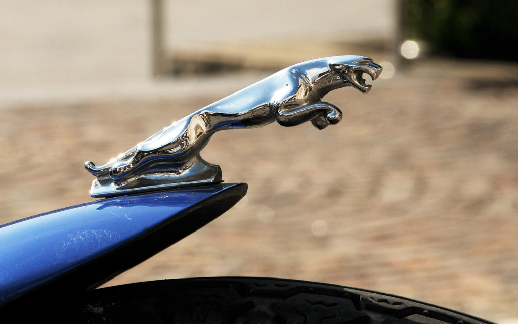 Motorradsegnung 06-07-2013 25_jpg-1373287812