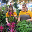 Im Gartencenter Hornbach