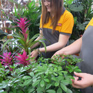 IMG_9128_JPG-1373289154