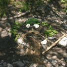 Entschleunigung-20_jpg-1373298662