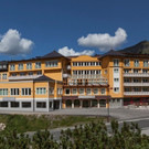 6257_steiner.jpg