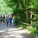 KOE_Wildpark Juli 2013 17_jpg-1373385355