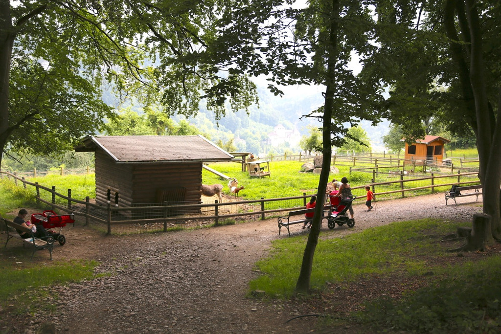 KOE_Wildpark Juli 2013 25_jpg-1373385414