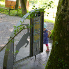 KOE_Wildpark Juli 2013 27_jpg-1373385426