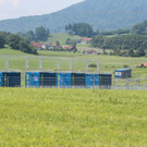 BF5I5601.jpg