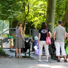 KOE_Wildpark Juli 2013 3_jpg-1373390507