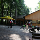 KOE_Wildpark Juli 2013 13_jpg-1373390575