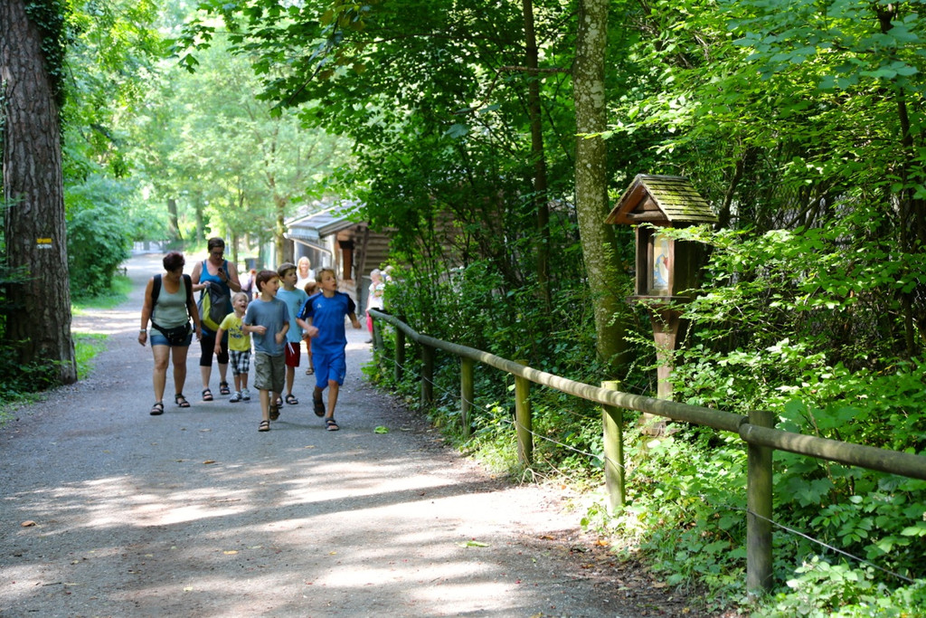 KOE_Wildpark Juli 2013 17_jpg-1373390610