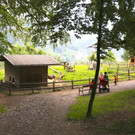 KOE_Wildpark Juli 2013 25_jpg-1373390669