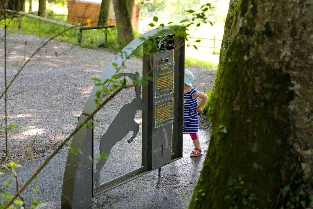 KOE_Wildpark Juli 2013 27_jpg-1373390681