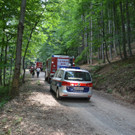 10072013_Forstunfall Fahrafeld_BN _1_.JPG