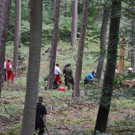 10072013_Forstunfall Fahrafeld_BN _2_.JPG