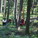 10072013_Forstunfall Fahrafeld_BN _3_.JPG