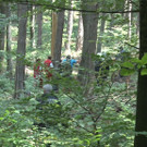 10072013_Forstunfall Fahrafeld_BN _6_.jpg
