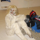 IMG_0243_jpg-1373482252