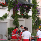 Fenstersturz bei Trauben-Ernte in Hörbranz