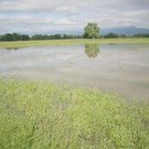 Wasser2_jpg-1373616844