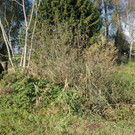 Wasser4_jpg-1373616855